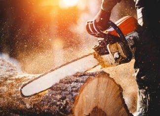 Best Gas-Powered Chainsaw