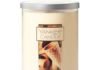 Yankee Candle French Vanilla 2-Wick Candle