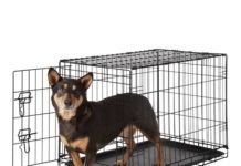 Frisco Dog Crate