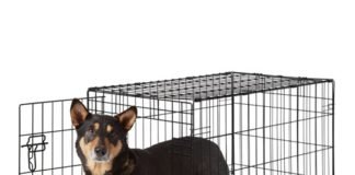 Frisco Dog Crate