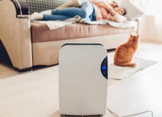 Best Home Air Purifiers for Allergies, Odors, Pets, Smoke, Dust & Mold