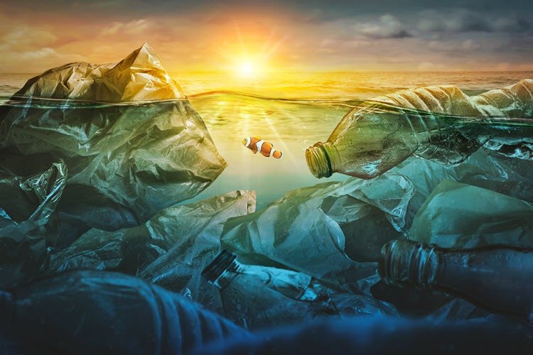 Ocean Plastic Pollution Recycling