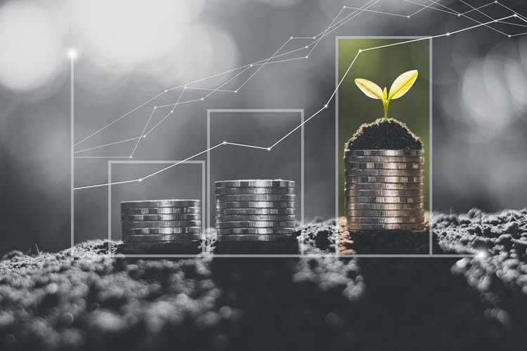 Stock market Growth