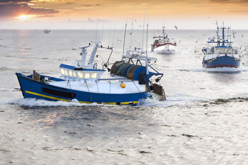 Fishing Boats
