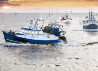 Fishing Boats